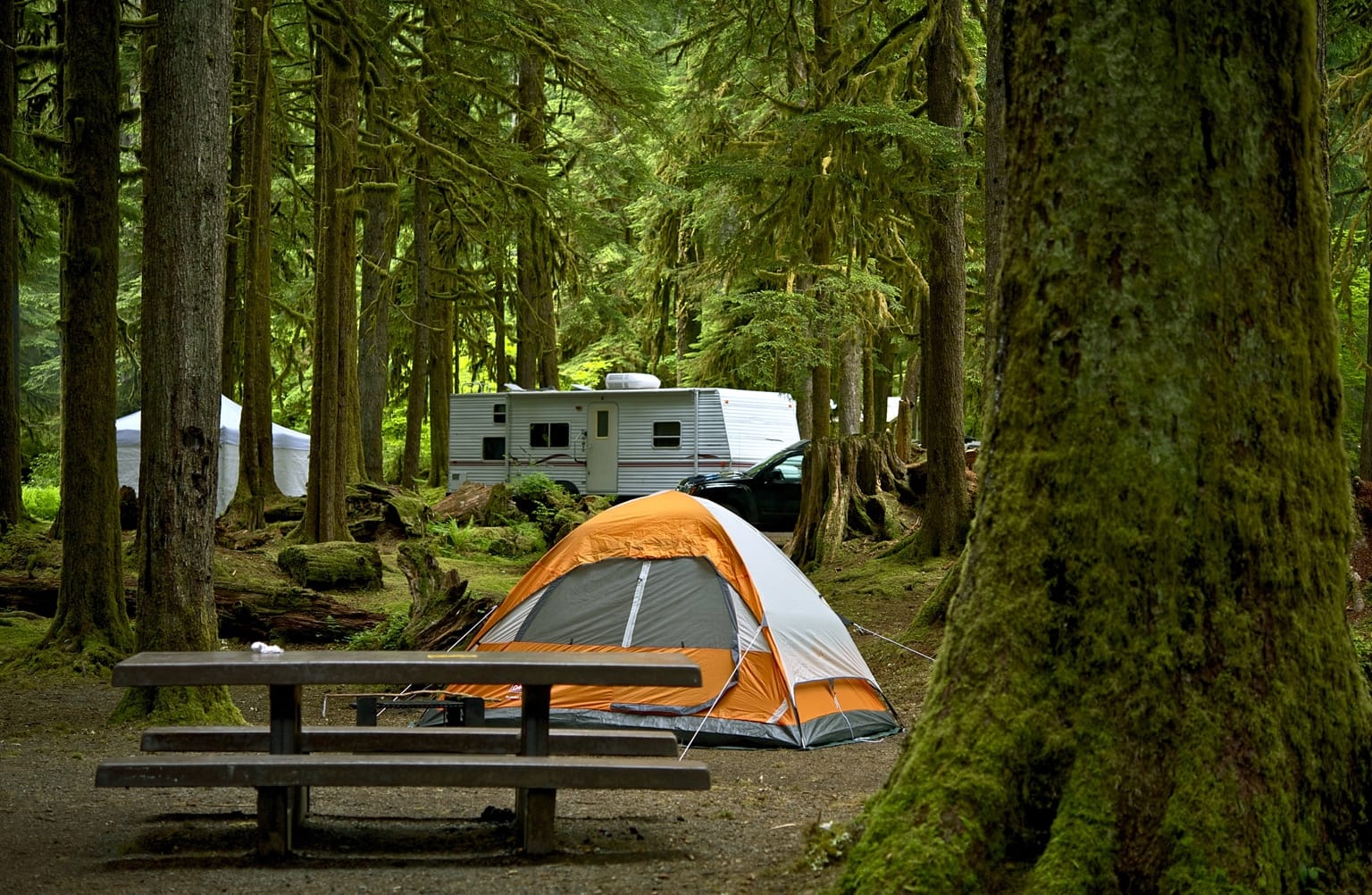 Campground laser tag